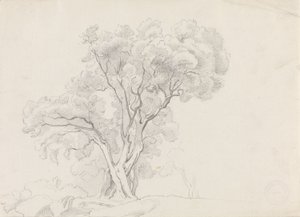 Deciduous Trees by Adolph Tidemand