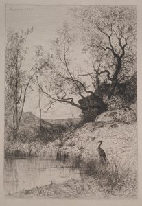 A Pond
