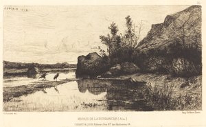 Marshes of Burbanche