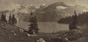 Alpine Landscape