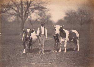Landscape, c. 1864 by Adolphe Braun
