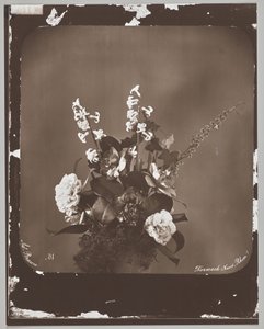 Untitled (flower arrangement) by Adolphe Braun