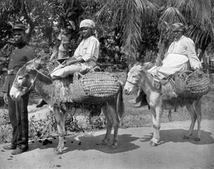 Off to the Jail, Jamaica, c1905