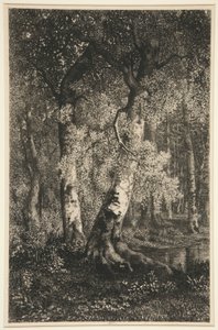 The Beeches
