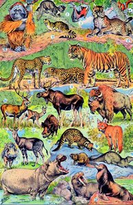 Illustration of Wild Animals c.1923