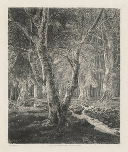 Bois de Pierrefonds by Adolphe Théodore Jules Martial Potémont