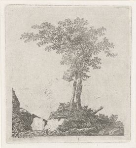 Two Trees
