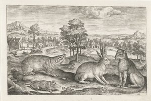 Forest Animals