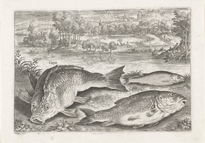 Three Carps on a Bank (Fishes) by Adriaen Collaert