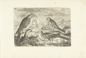 Three Birds in a Landscape by Adriaen Collaert