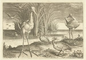 Some Waterfowl on a Shore Birds (series title)