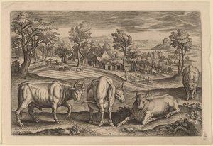 Four Bulls by Adriaen Collaert