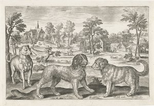Dogs by Adriaen Collaert