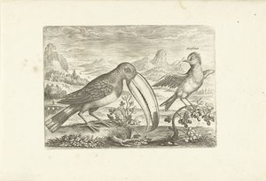 Two Exotic Birds in a Landscape (Birds) by Adriaen Collaert