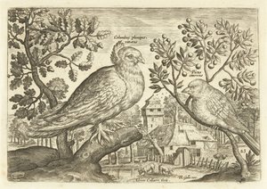 Two Birds in a Landscape (series title: Avivm Vivae, Birds) by Adriaen Collaert