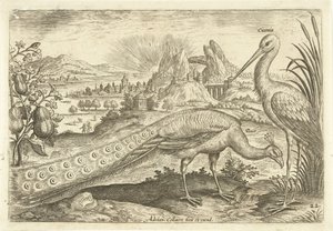 Two Birds in a Landscape (Avivm Vivae) (Birds) by Adriaen Collaert