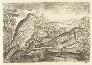 Two Birds in a Landscape by Adriaen Collaert