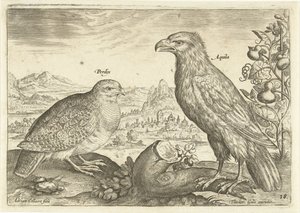 Two Birds in a Landscape (Avivm Vivae / Birds series) by Adriaen Collaert