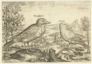 Two Birds in a Landscape by Adriaen Collaert