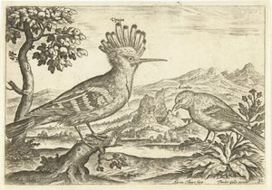 Two Birds in a Landscape (series title) by Adriaen Collaert