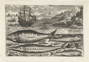 Four Fish on the Beach by Adriaen Collaert