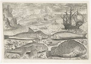 Four Fish on the Beach (Fish, Piscivm Vivae Icones) by Adriaen Collaert
