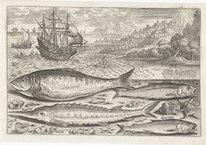 Four Fish on the Beach (Fish series) by Adriaen Collaert