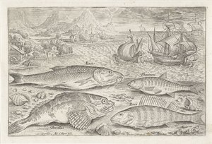 Four Fish on the Beach (Fish series) by Adriaen Collaert