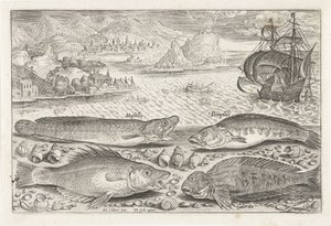 Four Fish on the Beach by Adriaen Collaert