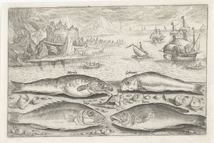 Four Fish on the Beach by Adriaen Collaert