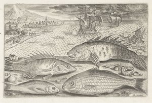 Four Fish on the Beach (Fish) (Piscivm vivae icones) by Adriaen Collaert