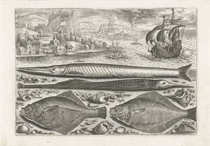 Four Fish on the Beach by Adriaen Collaert