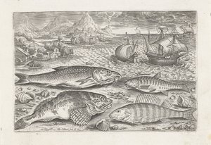 Four Fish on the Beach (series title) Piscivm vivae icones (series title) by Adriaen Collaert
