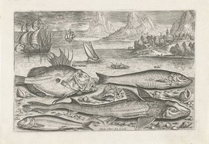 Four Fish on the Beach (Piscivm vivae icones series) by Adriaen Collaert
