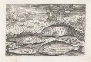 Four Fish on the Beach by Adriaen Collaert