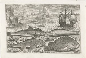 Four Fish on the Beach by Adriaen Collaert