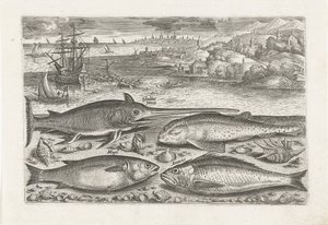 Four Fish on the Beach by Adriaen Collaert