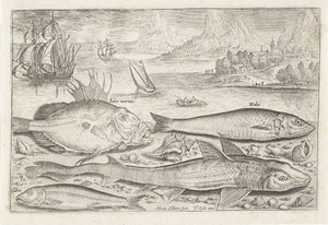 Four Fish on the Beach (Fish series) by Adriaen Collaert