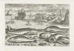 Five Fish on the Beach (series title) Piscivm vivae icones (series title) by Adriaen Collaert