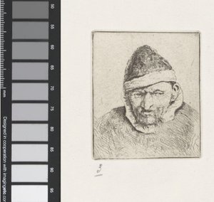 Bust of an Old Farmer with a Pointed Hat by Adriaen van Ostade