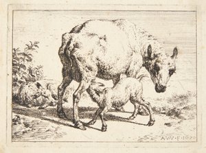 Sheep and Two Lambs