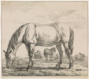 Grazing Horse (series title: Cattle)