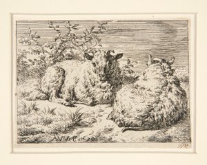 The Two Sheep
