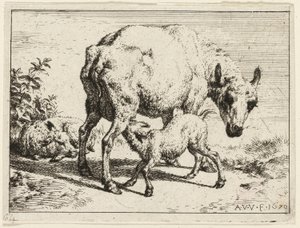 The Lamb