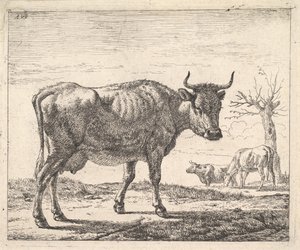 Three Cows by Adriaen van de Velde