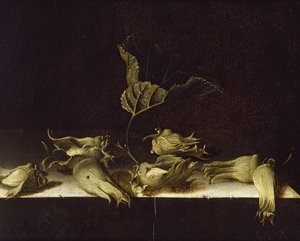 Still Life with Hazel-nuts