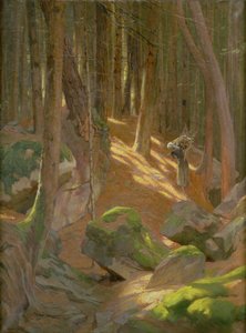 Twilight in a Forest