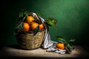 Fresh Oranges Still Life by Adriana Vitale