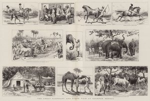The Great Elephant and Horse Fair at Sonepur, Bengal