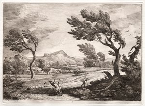 Landscape